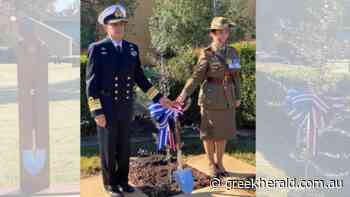 Olive tree planted at Lamia Barracks in Sydney to honour the Battle of Crete - The Greek Herald