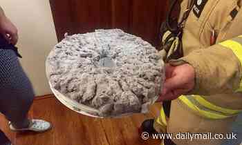 Sydney firefighters issue warning after resident smells their dryer burning - Daily Mail