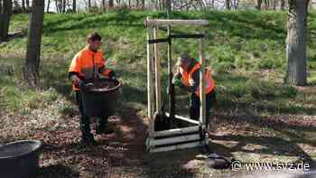 Kolumne Stadtschleicher: Es grünt so grün in Wittenberge - svz – Schweriner Volkszeitung