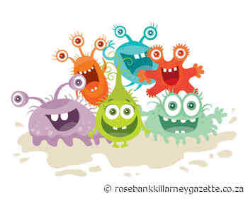 Teach your child how to keep germs at bay - Rosebank Killarney Gazette