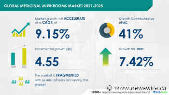 Medicinal Mushrooms Market Size to Grow by USD 4.55 billion | 41% of Market Growth to Originate from APAC | Technavio