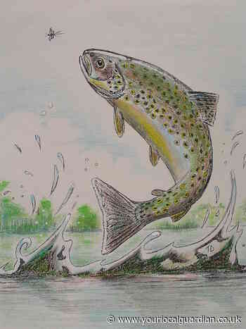 All about the 'perfect' fish