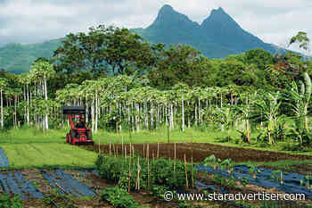 Kokua Line: Why not give more farm grants worth less money?