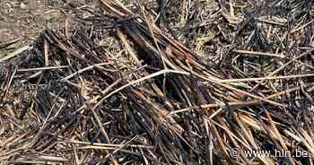 Brandweer rukt uit voor grasbrand | Wijnegem | hln.be - Het Laatste Nieuws