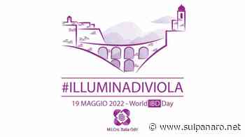 Carpi si illumina di viola per la Giornata mondiale delle malattie croniche intestinali - SulPanaro