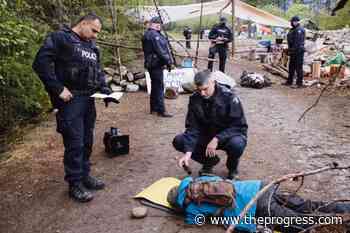 RCMP make arrests at logging protest north of Nelson – Chilliwack Progress - Chilliwack Progress