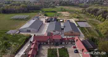KU Leuven opent onderzoekscomplex TRANSfarm: 6.000 m2 zonnepanelen, 70 hectare testvelden. - Het Laatste Nieuws