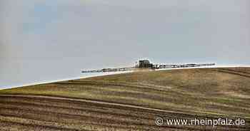 Ukraine: Teils dramatischer Rückgang bei Aussaatflächen - Wirtschaft - Rheinpfalz.de