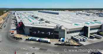 Tesla fliegt aus S&P-Nachhaltigkeitsindex - Musk empört - Wirtschaft - Rheinpfalz.de