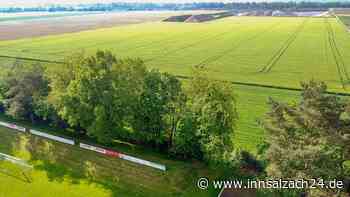 „Lieber Bäume opfern“: Warum der Gemeinderat Aschau am Inn dem Naturschutz widerspricht