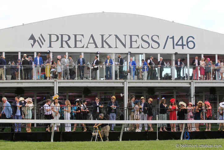 Another Triple Crown Long Shot? Fenwick Is 50-1 In Preakness