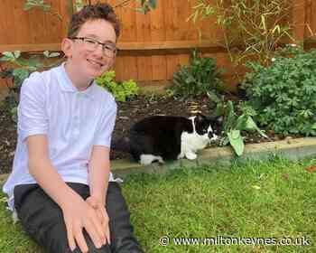 Young cat lover inspired to help Milton Keynes charity after death of beloved family pet - Milton Keynes Citizen