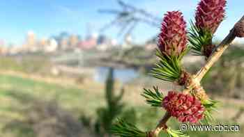 60 sweet spots to explore this spring and summer in the capital region