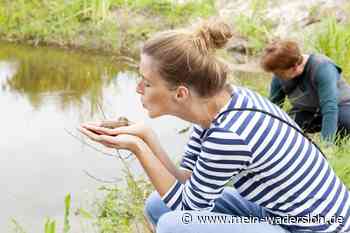 Mitmachprogramm des NABU Soest: Knoblauchkröte im Fokus - Mein Wadersloh