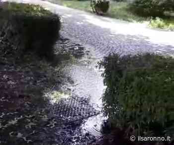 Saronno, in viale Santuario auto e bimbi inzuppati dall'impianto di irrigazione - ilSaronno