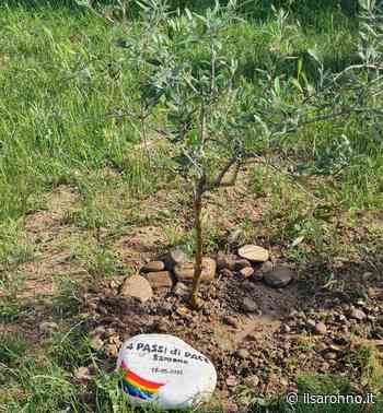 Saronno, la pace crescerà nei cortili delle scuole San Giovanni Bosco e Vittorino da Feltre - ilSaronno