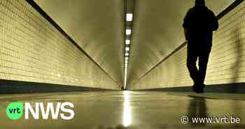 Plannen om met windmolen en zonnepanelen tunnel Zelzate te verlichten - VRT NWS