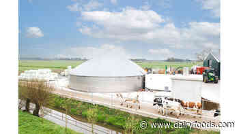 Ben & Jerry's commits to slashing dairy farm greenhouse gas emissions by 2024