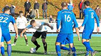 Fußball – Landesliga: Fußball-Landesligist VfL Nagold in Böblingen gefordert