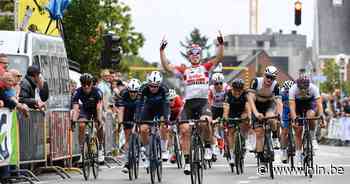 Memorial Van Coningsloo doorkruist gemeente op 5 juni | Bertem | hln.be - Het Laatste Nieuws