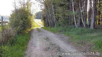 „Sollen sich Menschen nicht im Wald bewegen?“ Warum der Ausbau eines Forstwegs am Goldenen Tal scheitert