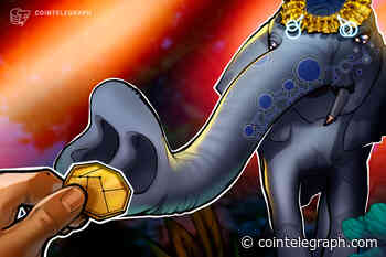 Indian government's ‘blockchain not crypto’ stance highlights lack of understanding