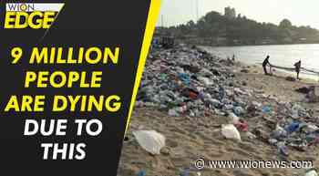 This is killing more people than coronavirus - WION