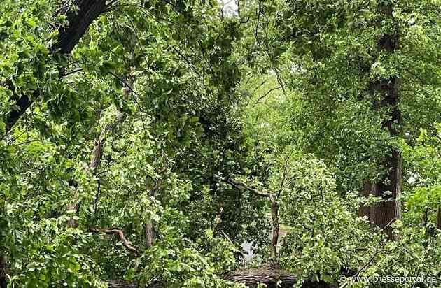 FW-KLE: [Aktualisierung] Unwetterbedingte Einsätze durch Gewitter und Sturmböen