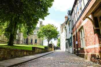 Just 40% of Durham's teaching staff attended compulsory anti-discrimination training - Palatinate