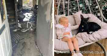 County Durham mum 'lost literally everything' in devastating house fire that killed beloved dog - Chronicle Live