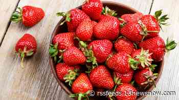 May 20 is National Pick Strawberries Day, and Virginia Beach is ready