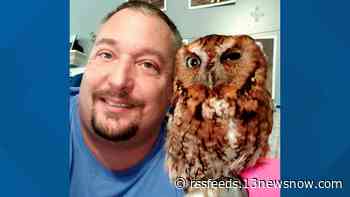 'Second chance at life' | Deputy rescues injured owl, nurses her back to health