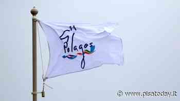 Il Comune di Pisa partecipa alla Regata '100 di Montecristo' edizione Pelagos - PisaToday