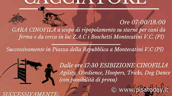 Festa del cacciatore a Montecatini Val di Cecina - PisaToday