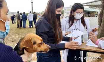 Prefeitura promove castração gratuita de pets em Barra Bonita; veja como funciona - Globo