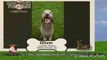 Dog Walk Forecast: Oliver - KTIV Siouxland's News Channel