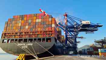 Porti: Spezia e Marina Carrara al Break Bulk Europe di Rotterdam - Porti e Logistica - Mare - Agenzia ANSA
