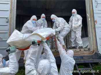 "Centinaia di cadaveri abbandonati". Lo scempio dei caduti abbandonati da Putin