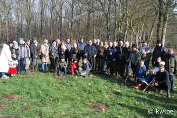 6,2 ha extra bos op grondgebied Beernem en Oostkamp: 13.000 nieuwe bomen en struiken in Biscopveld - KW.be