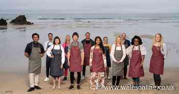 Future Food Stars: Who are the finalists in the running for Gordon Ramsay's £150k investment? - Wales Online