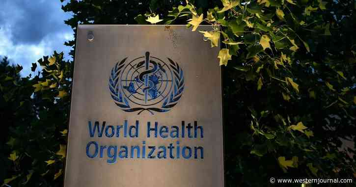 WHO Creating New UN-Style Super-Government? Could Take Control, in Some Cases 'Wherever Necessary'