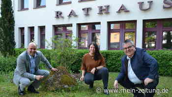 Klimaschutzmanagerin vorgestellt: VG Langenlonsheim-Stromberg hat Zukunft fest im Visier - Rhein-Zeitung