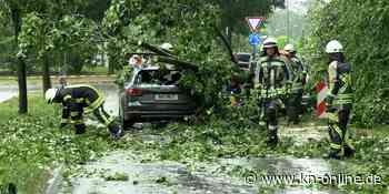 Umgestürzte Bäume und gestörter Bahnverkehr – erster Unwettertag weniger heftig als gedacht