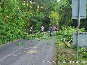 Quick work helps clear fallen tree from Horsham road - SussexWorld