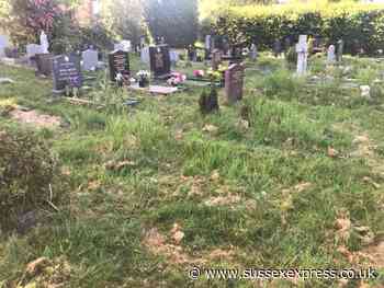 Horsham residents left unimpressed by 'horrid mess' at Hills Cemetery - SussexWorld
