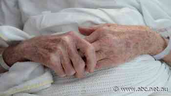 Live: NSW Now: Assisted dying laws shine light on palliative care resourcing