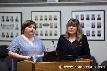 Ukrainian-Canadian group raises $75K for war-torn country - The Brandon Sun