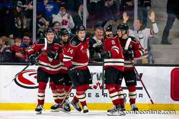 Rebels hit the road to Brandon with series tied - LacombeOnline.com