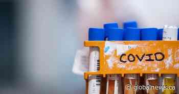 COVID-19: 465 cases added last week, Saskatchewan pharmacists can prescribe paxlovid