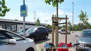 Nervig oder gut? - Aldi in Balingen lässt Auf Gehrn digital kontrollieren - Schwarzwälder Bote